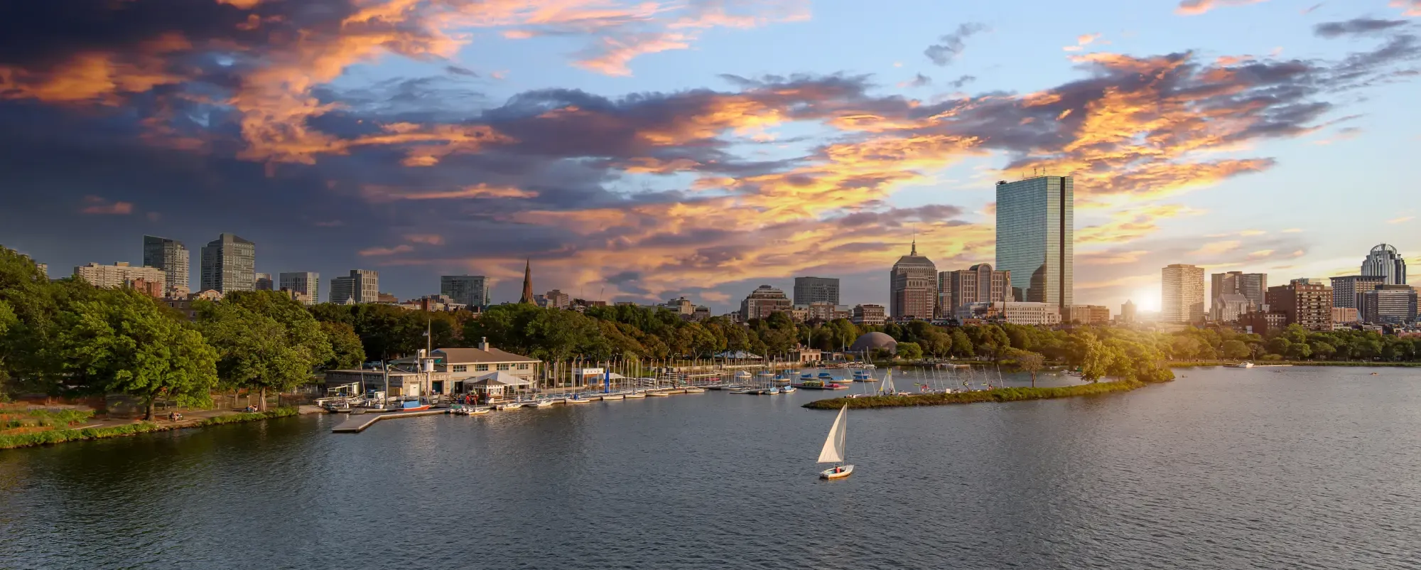 A city skyline reflects on a lake, with several sailboats gliding across the water under a clear blue sky